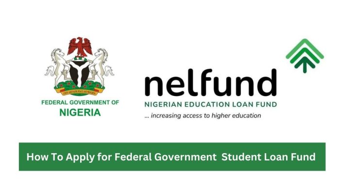 How to apply for Federal Government scholarships in Nigeria